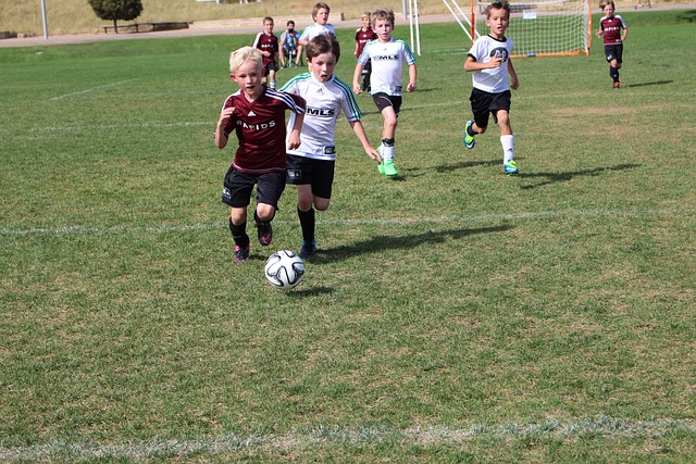 从场上无懈 从场上无懈