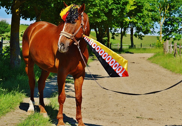 哈曼：球隊現在對於圖赫爾的支持存疑，德裏赫特是他現在最需要的球員.